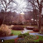 Garden Lights at Canoe Restaurant
